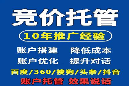 行业领先企业的SEM代运营成功之路