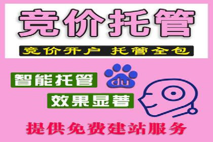 企业SEM服务公司案例分享：SEO实战技巧